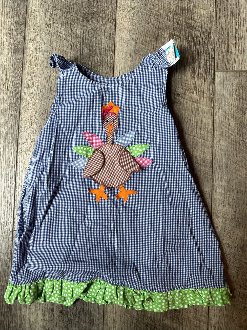Blue Gingham Reversible Dress with Colorful Turkey/Pumpkin Appliqué